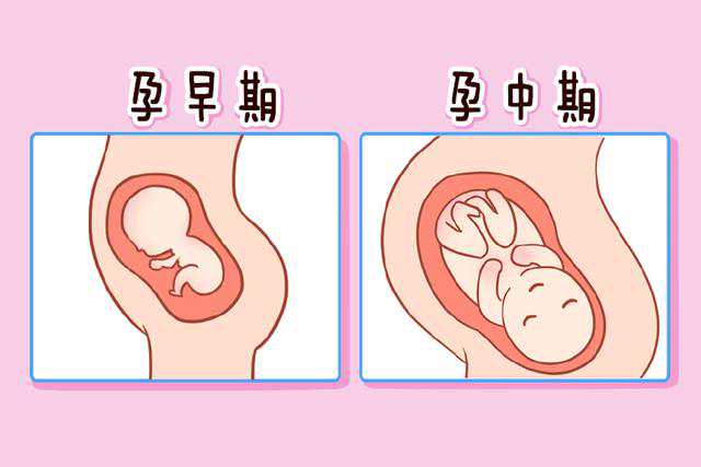 青岛同性供卵代怀中心在哪个位置